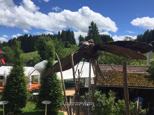 Burghotel Bären by null