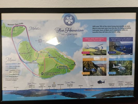 Blue Hawaiian Helicopters by null