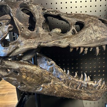 Poozeum - Museums Near Me - Williams, Arizona