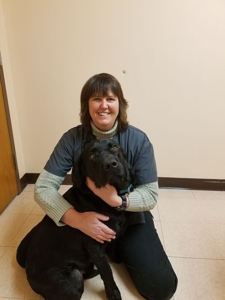 POULTNEY VETERINARY SERVICES Updated August 2024 330 E Main St