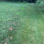 Photo of Perfecturf Lawn Care