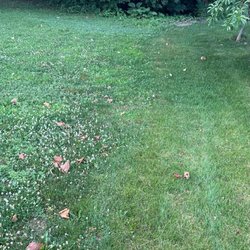 Perfecturf Lawn Care - lawn