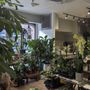 Photo of SOHO Flower & Garden