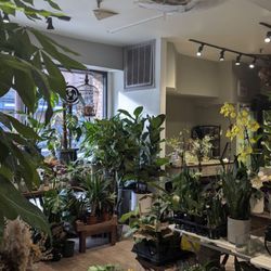 SOHO Flower & Garden