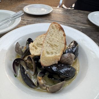 Osteria Fasulo - Mussels an clams - Italian Near Me - Davis, California Osteria Fasulo - Mussels an clams - Italian Near Me - Davis, California