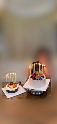 Paris Baguette by null