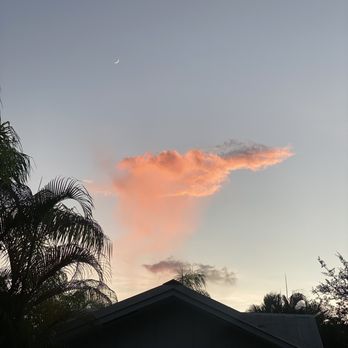 Coconut Palm Inn - Hotels Near Me - Tavernier, Florida