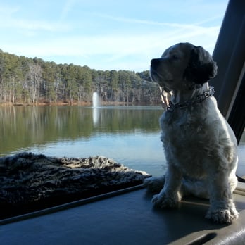 Twin Lakes Rv Park - View out the front window of our rig. Lake with fountain was gorgeous. - RV Parks Near Me - Cumming, Georgia