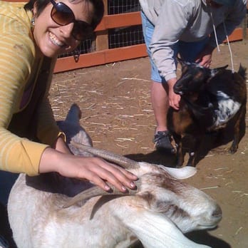 Farm Sanctuary - With a goat friend! - Animal Shelters Near Me - Acton, California