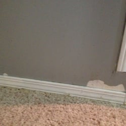 Actually Clean - Damage to wall paint