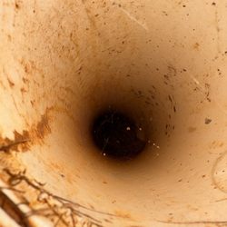 Barry's Plumbing & Septic Services - Cracked septic pipe