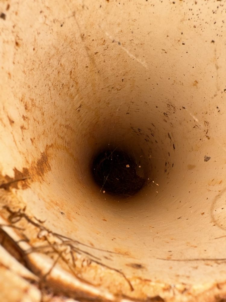 Barry's Plumbing & Septic Services - septic in Monroe, NC