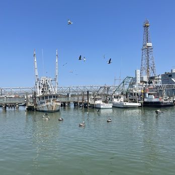 Sampson & Son's Seafood - Gulf Port Life #pelicanlife - Seafood Markets Near Me - Galveston, Texas Sampson & Son's Seafood - Gulf Port Life #pelicanlife - Seafood Markets Near Me - Galveston, Texas