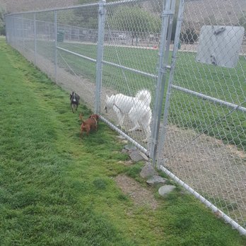Link Piazzo Dog Park - Big dog, small dogs. - Dog Parks Near Me - Reno, Nevada Link Piazzo Dog Park - Big dog, small dogs. - Dog Parks Near Me - Reno, Nevada