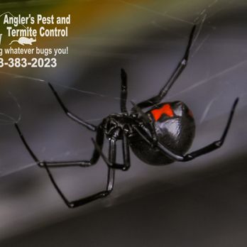 Anglers Pest and Termite Control - Pest Control Near Me - Yantis, Texas Anglers Pest and Termite Control - Pest Control Near Me - Yantis, Texas