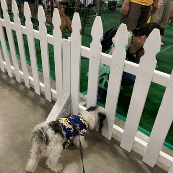Bay Area Pet Fair & Adoptathon - Pet Adoption Near Me - Pleasanton, California Bay Area Pet Fair & Adoptathon - Pet Adoption Near Me - Pleasanton, California