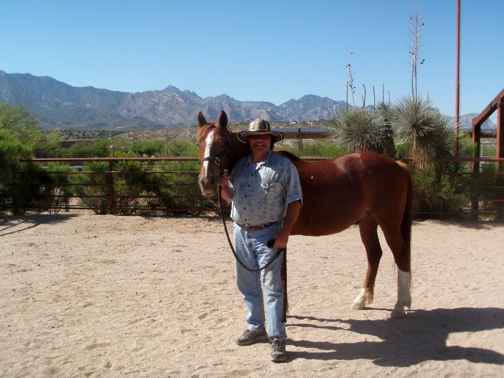 GOOSEBERRY MARKET Updated October 2024 286 Gooseberry Rd, Wakefield