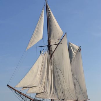 Fine Day For Sailing - Boating Near Me - Sausalito, California