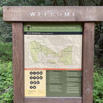 Roys Redwoods Preserve - Roy's Redwoods Preserve - Parks Near Me - Marin, California