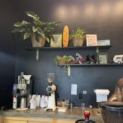 Forage Coffee - Behind the counter
