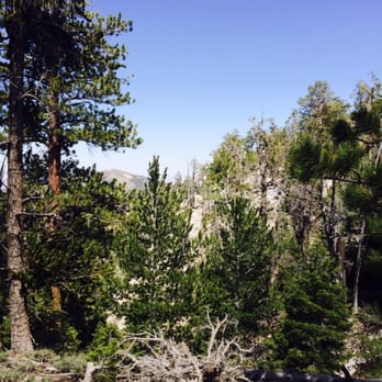 Raintree via North Loop - Hiking Near Me - Mt. Charleston, Nevada