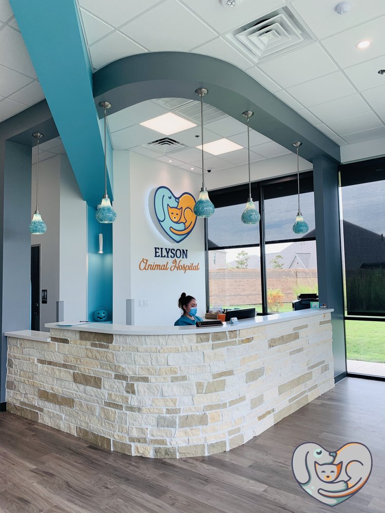 ELYSON ANIMAL HOSPITAL Updated June 2024 38 Photos & 10 Reviews 23015 Fm 529 Rd, Katy