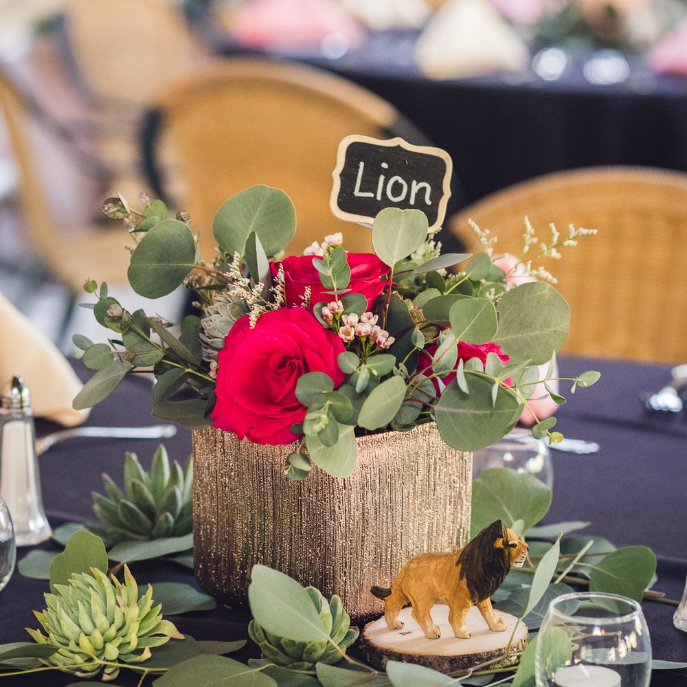 Center pieces at our wedding, which was at the San Diego Safari Park! Center pieces at our wedding, which was at the San Diego Safari Park!