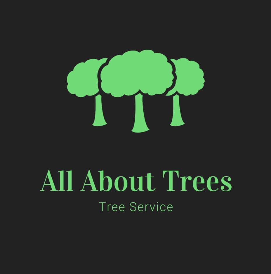 ALL ABOUT TREES Updated July 2024 Red Oak, Texas, United States