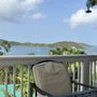Photo of At Home In the Tropics