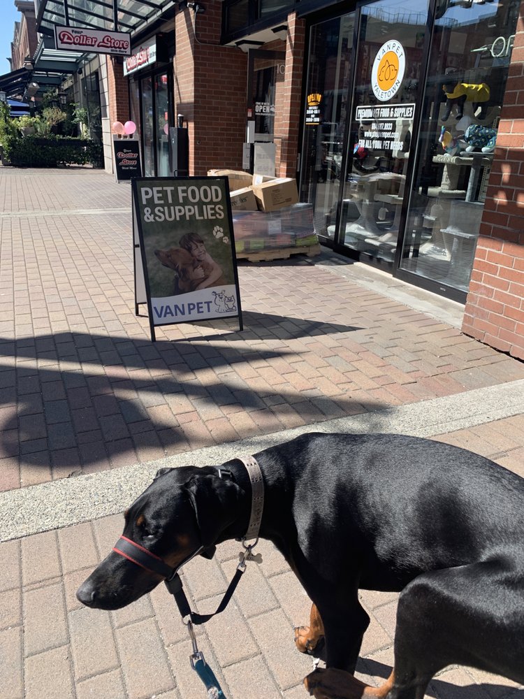 VAN PET YALETOWN Updated September 2024 36 Photos & 34 Reviews
