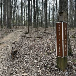 Reynolds Nature Preserve - Well marked trails (burstin heart is accurate!)