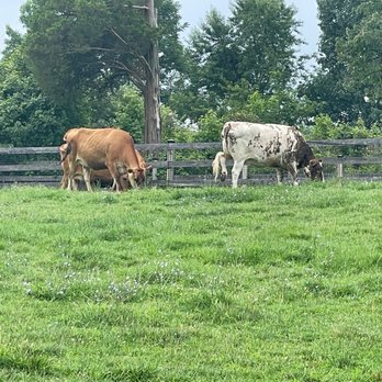 Oxon Hill Farm - Parks Near Me - Oxon Hill, Maryland Oxon Hill Farm - Parks Near Me - Oxon Hill, Maryland