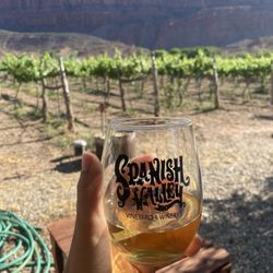 Spanish Valley Vineyard & Winery - Wine and scenery from outdoor seating