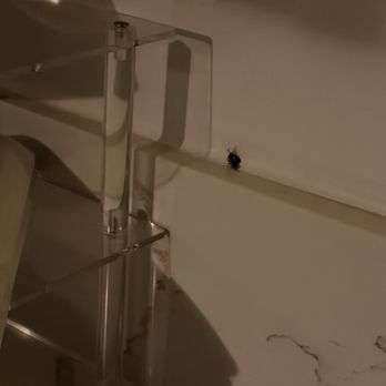 PAC Properties - Roach - Property Management Near Me - Los Angeles, California