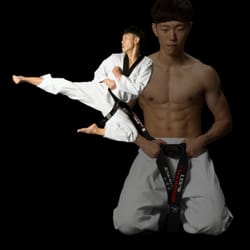 Lee's Taekwondo Martial Arts