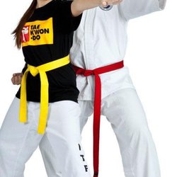 International Taekwon-Do Academy
