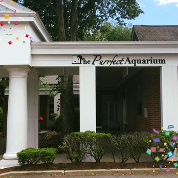 Alpha Aquatic Arts - Our store is located in the back right corner of the courtyard :) - Aquarium Services Near Me - Old Lyme, Connecticut Alpha Aquatic Arts - Our store is located in the back right corner of the courtyard :) - Aquarium Services Near Me - Old Lyme, Connecticut