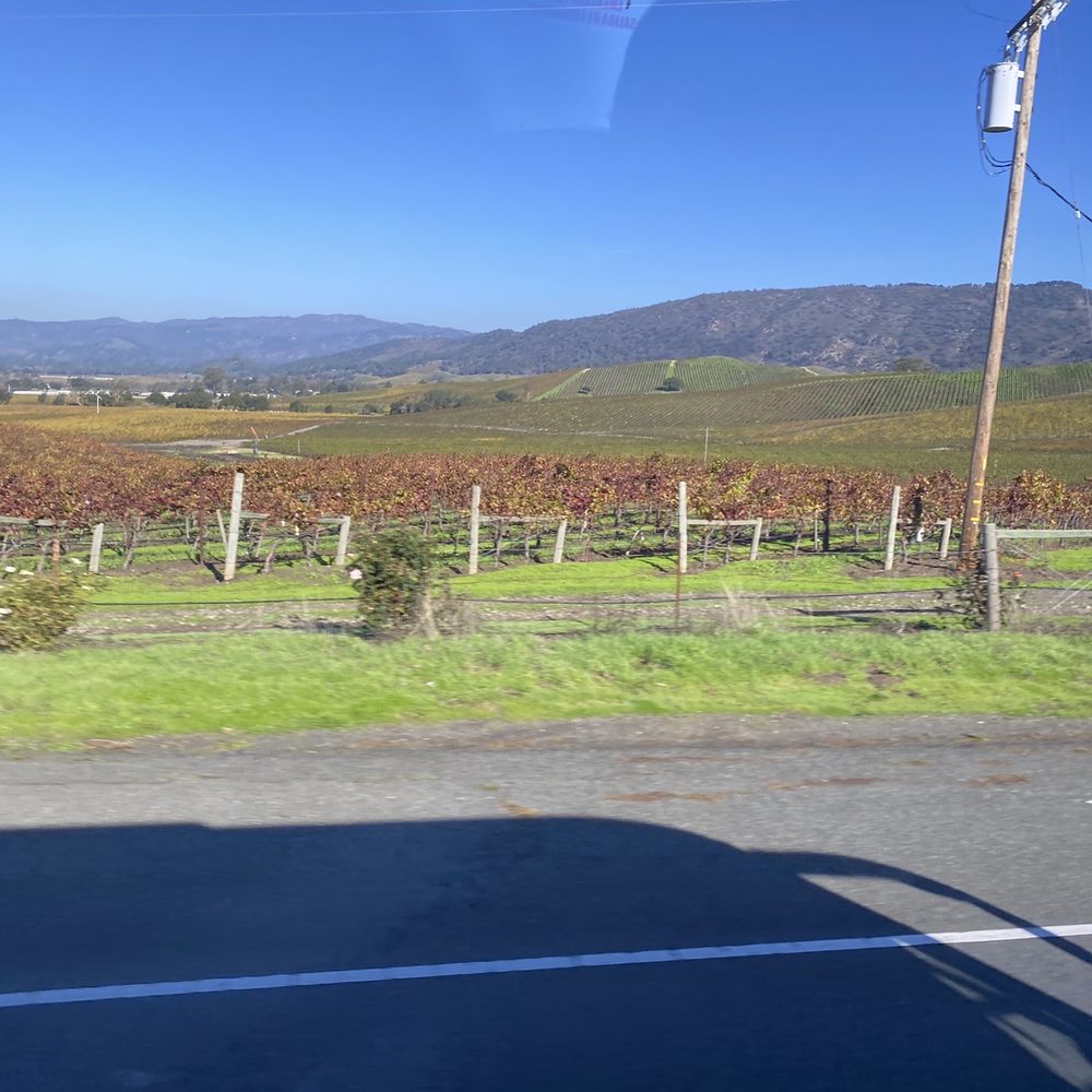 Tower Tours - Ride in between - Wine Tours Near Me - San Francisco, California Tower Tours - Ride in between - Wine Tours Near Me - San Francisco, California