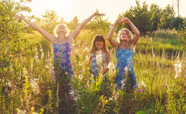 Allergy Asthma Immunology Of Rochester, PC