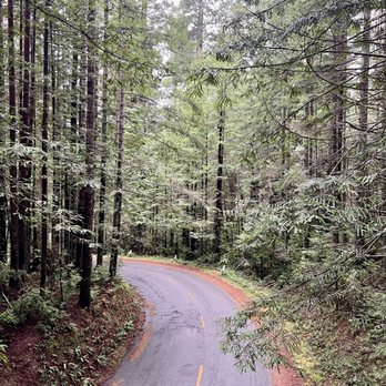 Lady Bird Johnson Grove - Incredible! - Hiking Near Me - Orick, California Lady Bird Johnson Grove - Incredible! - Hiking Near Me - Orick, California