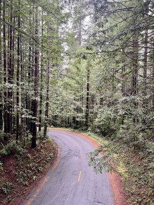 Lady Bird Johnson Grove Trail by null