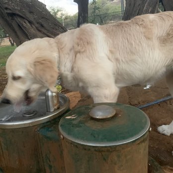 Diamond Head Bark Park - Water available - Dog Parks Near Me - Honolulu, Hawaii Diamond Head Bark Park - Water available - Dog Parks Near Me - Honolulu, Hawaii