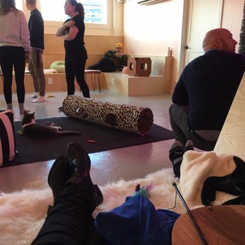 NEKO Cat Cafe - Lots of lounge space - Cafes Near Me - Bellingham, Washington