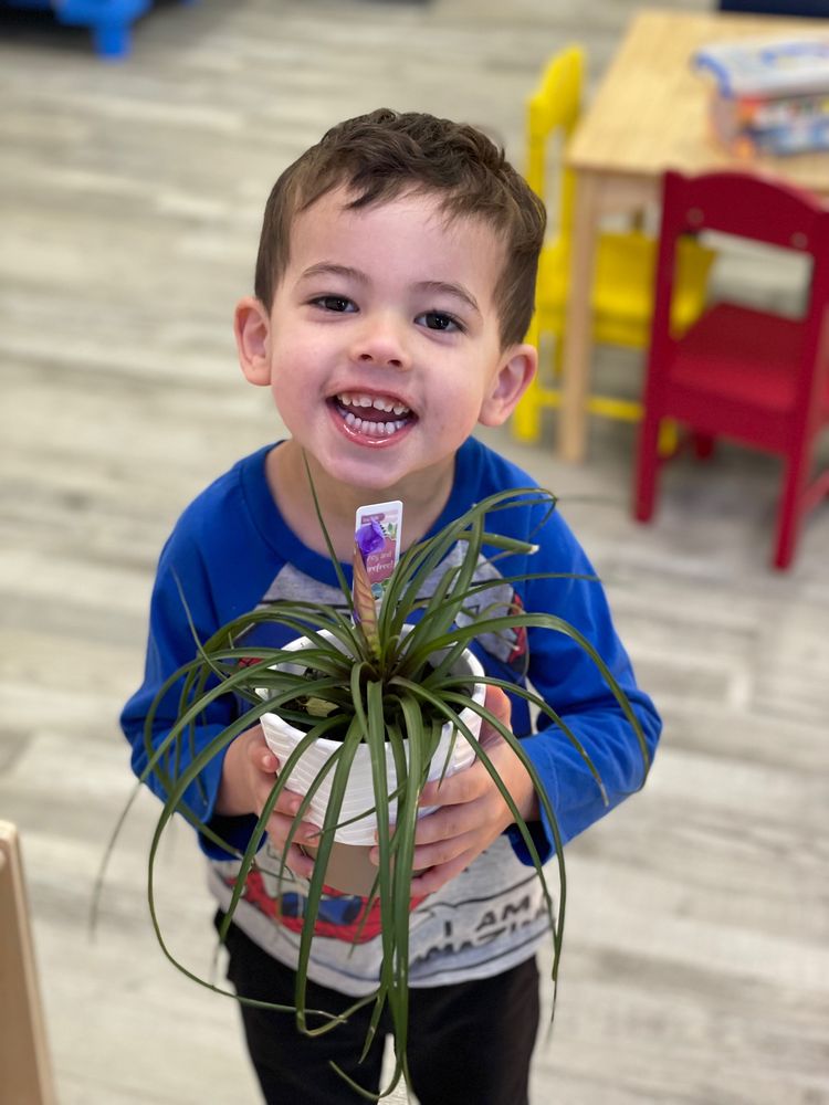 Learn N Grow STEM Preschool - childcare center in Frisco, TX