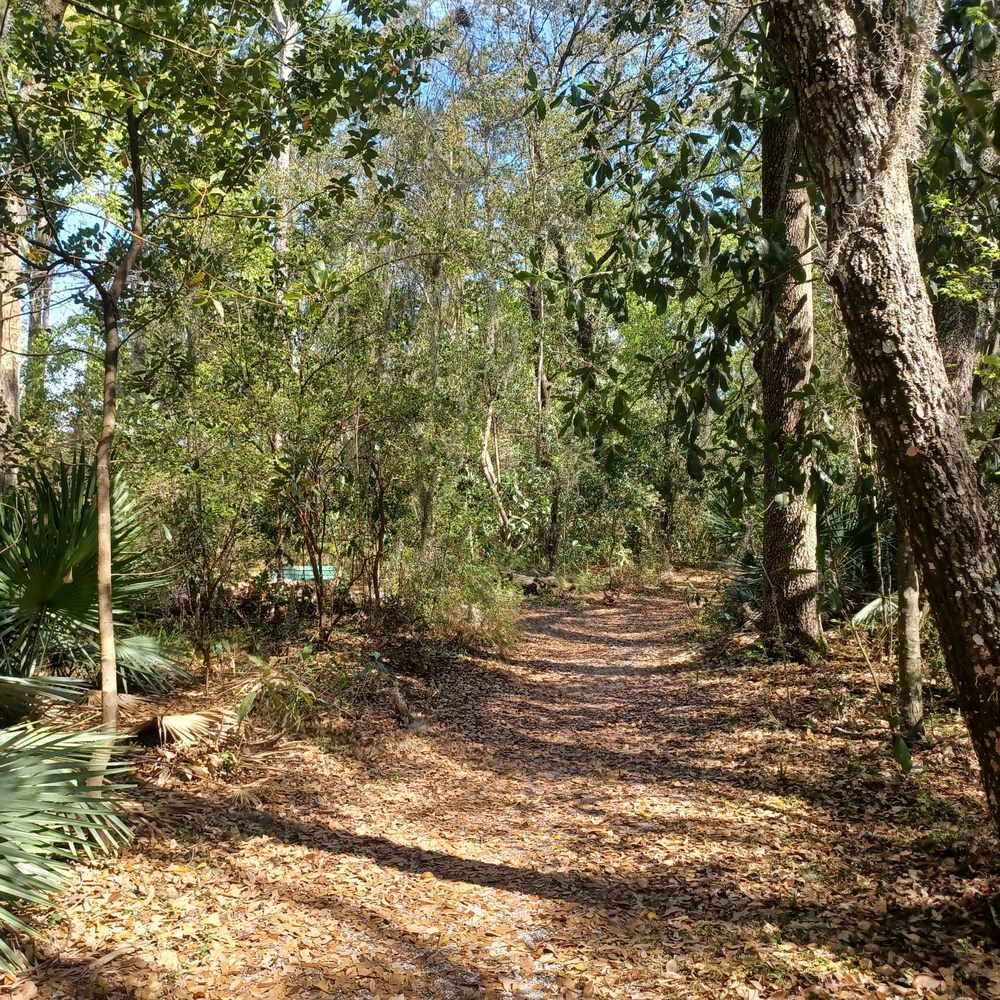 Alejandro Garces Camp Tomahawk Park - Hiking Near Me - Jacksonville, Florida