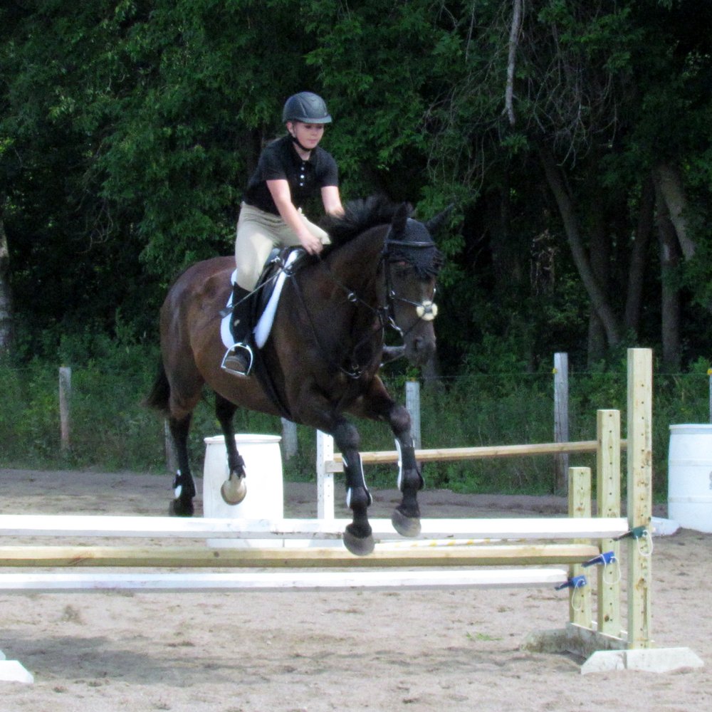 The Best 10 Horseback Riding near Bunker Park Stable in Andover, MN Yelp