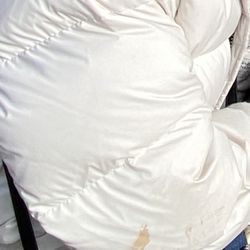 Whiz French Dry Cleaning