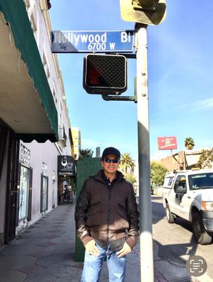 Hollywood Walk of Fame by null