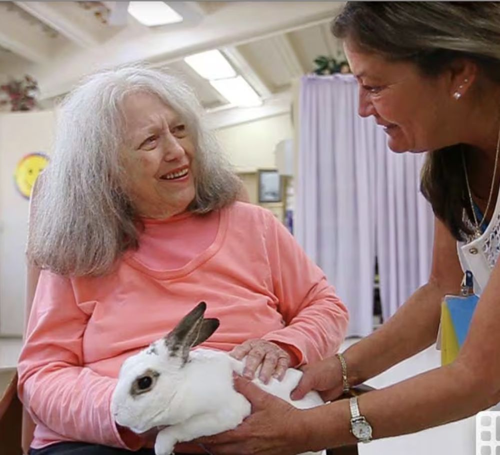 GOLDEN PALMS RETIREMENT CENTER AND HEALTHCARE Updated November 2024