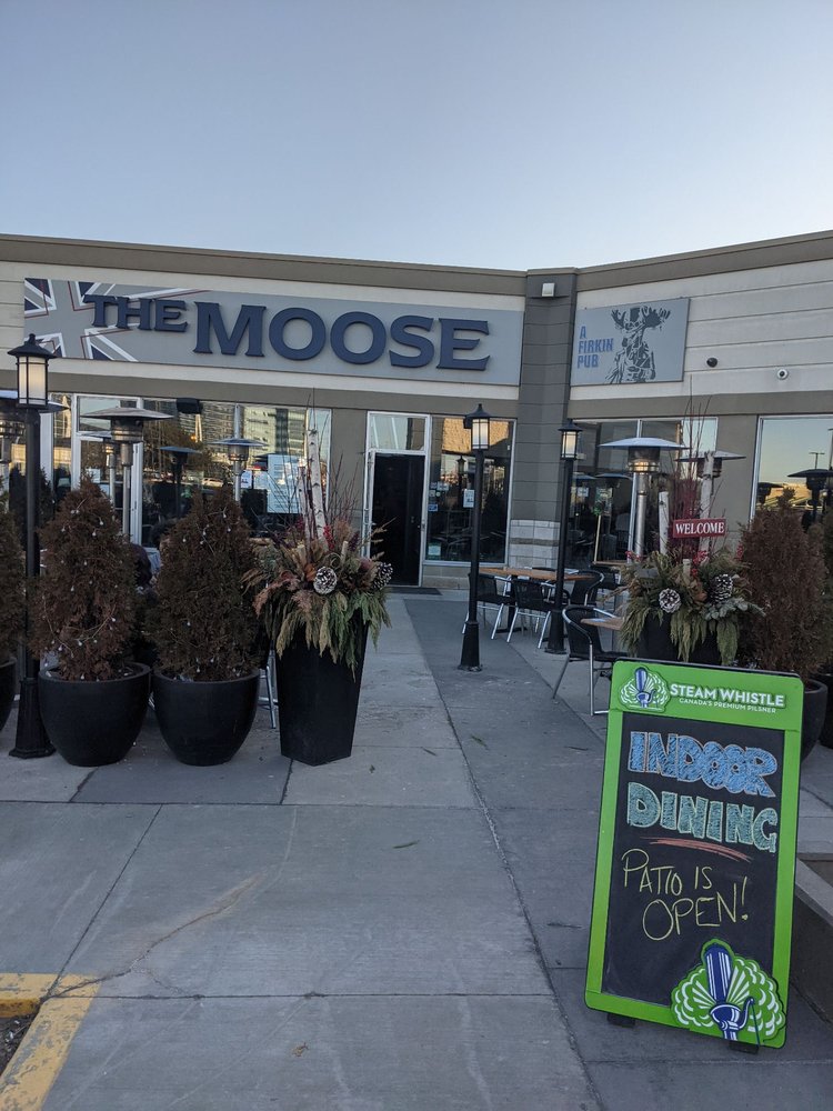 THE MOOSE Updated October 2024 50 Photos & 28 Reviews 7600 Weston